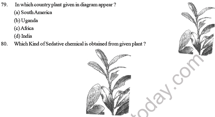 NEET Biology Human Health and Diseases MCQs Set A-Q80