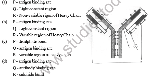 NEET Biology Human Health and Diseases MCQs Set A-Q85-