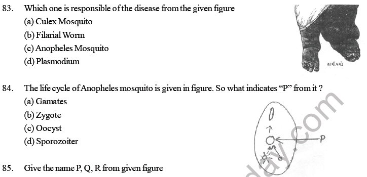 NEET Biology Human Health and Diseases MCQs Set A-Q85