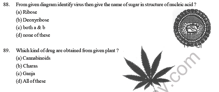 NEET Biology Human Health and Diseases MCQs Set A-Q88-89