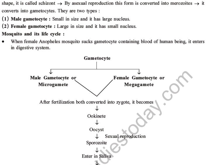 NEET Biology Human Health and Diseases MCQs Set B-4