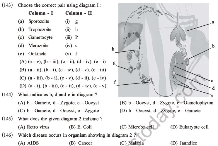 NEET Biology Human Health and Diseases MCQs Set B-46