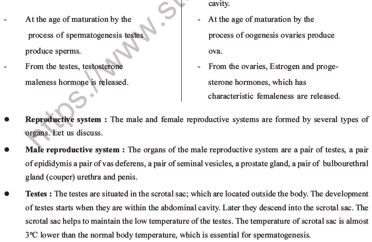 NEET Biology Human Reproduction MCQs Set A-