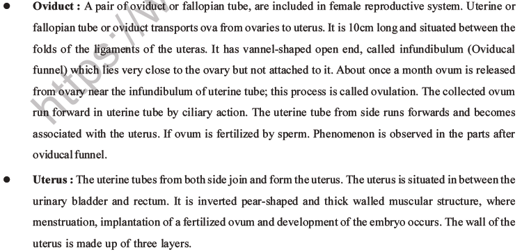 NEET Biology Human Reproduction MCQs Set A-18