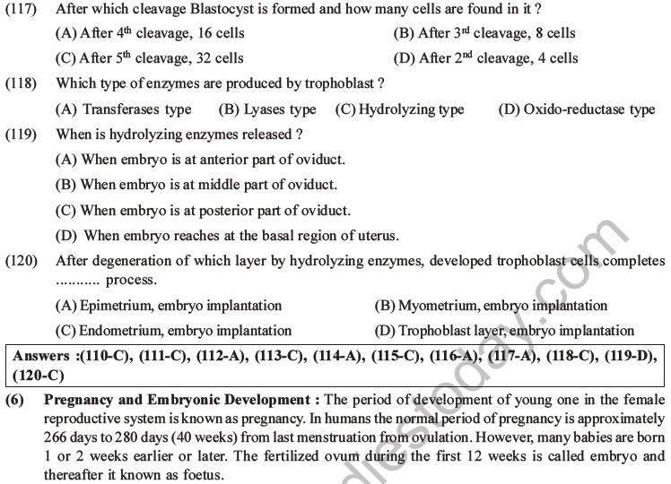 NEET Biology Human Reproduction MCQs Set A-47