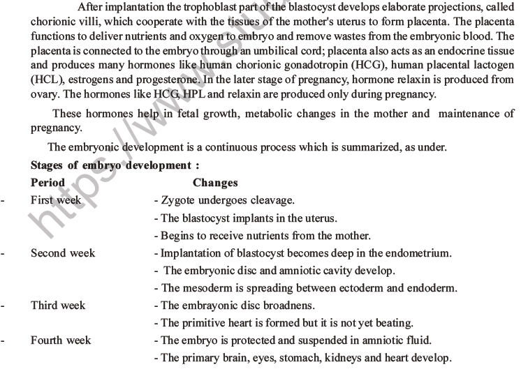 NEET Biology Human Reproduction MCQs Set A-48