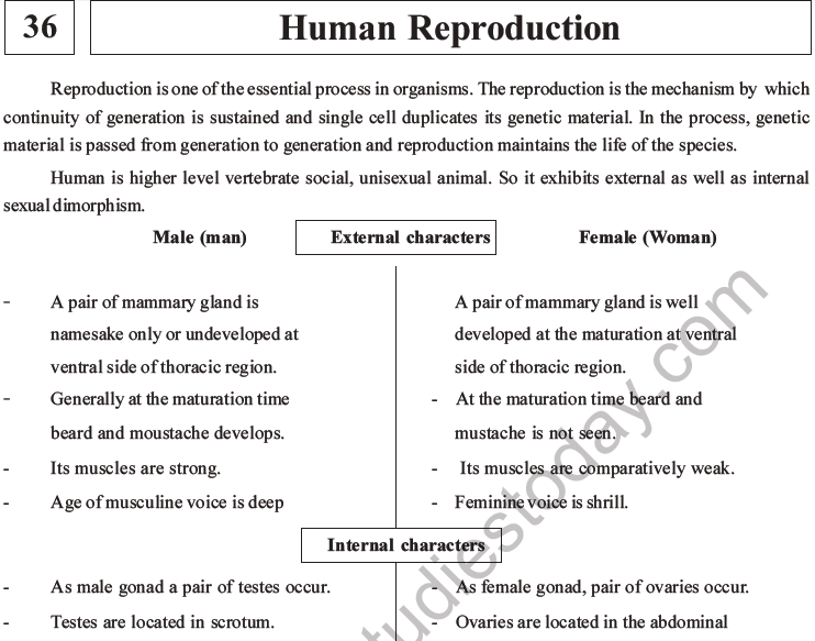 NEET Biology Human Reproduction MCQs Set A