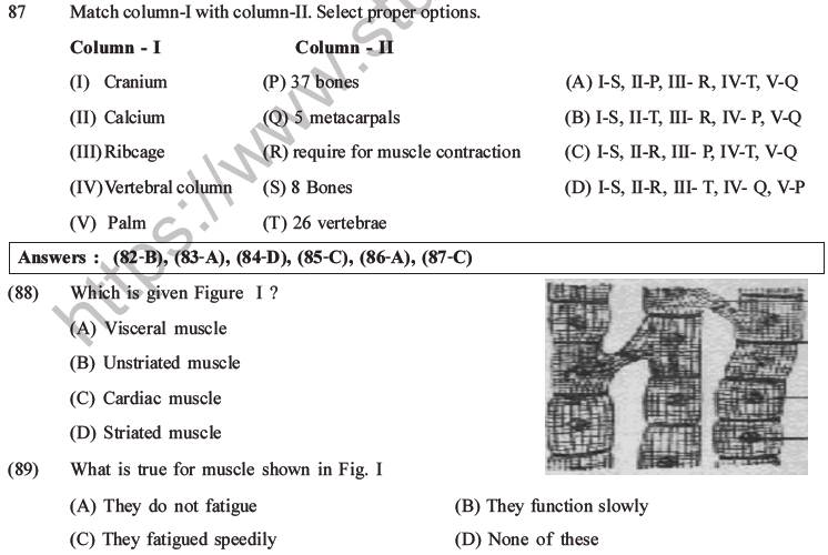 NEET Biology Locomotion and Movement MCQs Set A-22