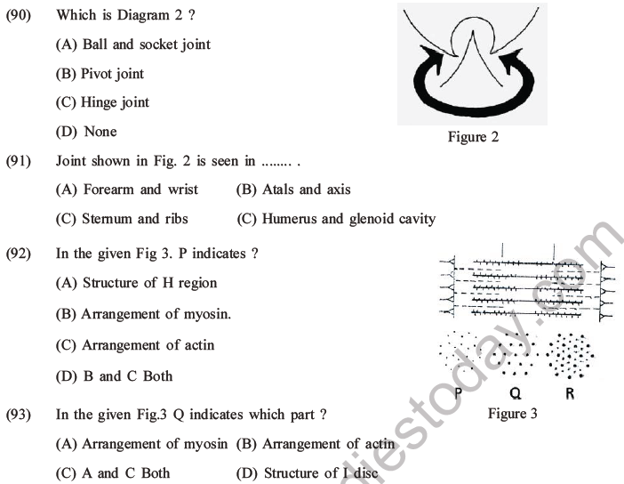 NEET Biology Locomotion and Movement MCQs Set A-23