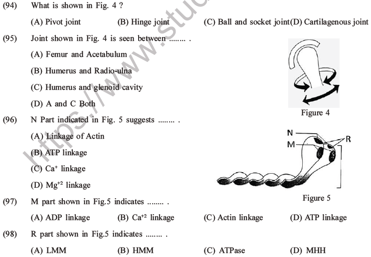 NEET Biology Locomotion and Movement MCQs Set A-24