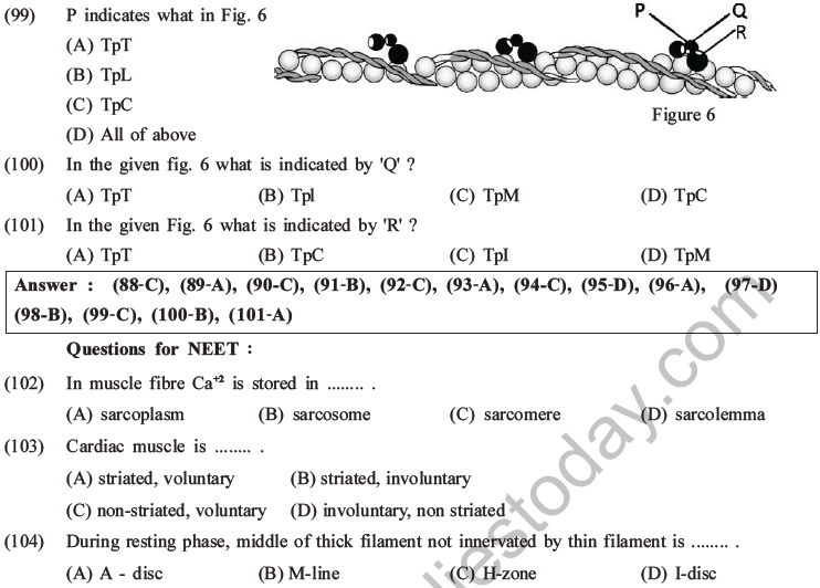 NEET Biology Locomotion and Movement MCQs Set A-25