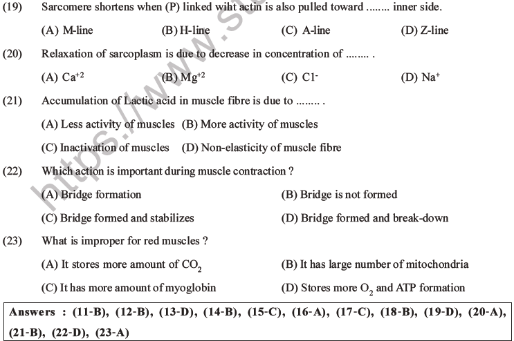 NEET Biology Locomotion and Movement MCQs Set A-4