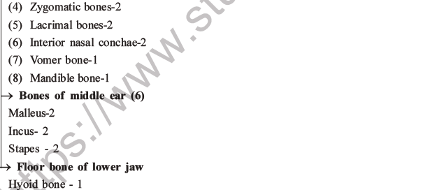 NEET Biology Locomotion and Movement MCQs Set A-6