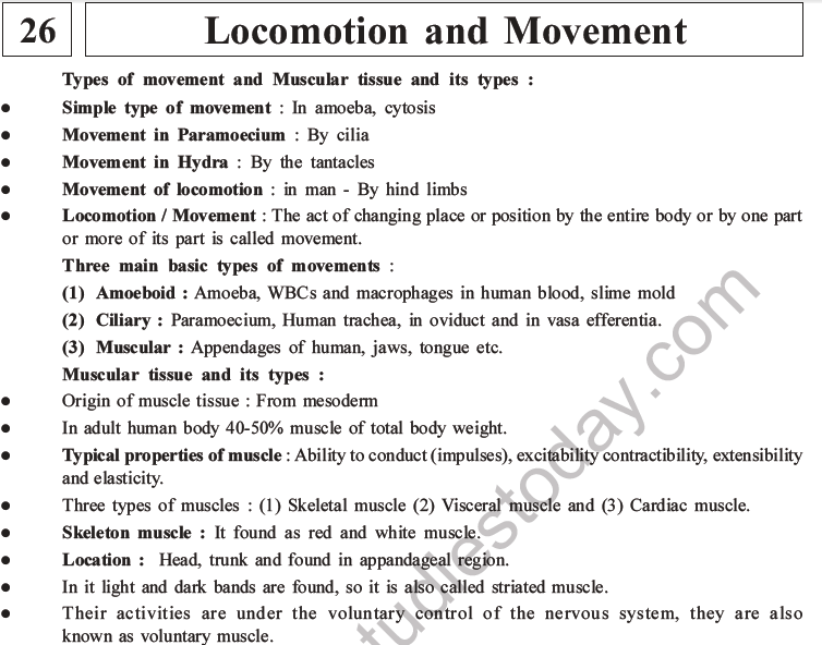 NEET Biology Locomotion and Movement MCQs Set A