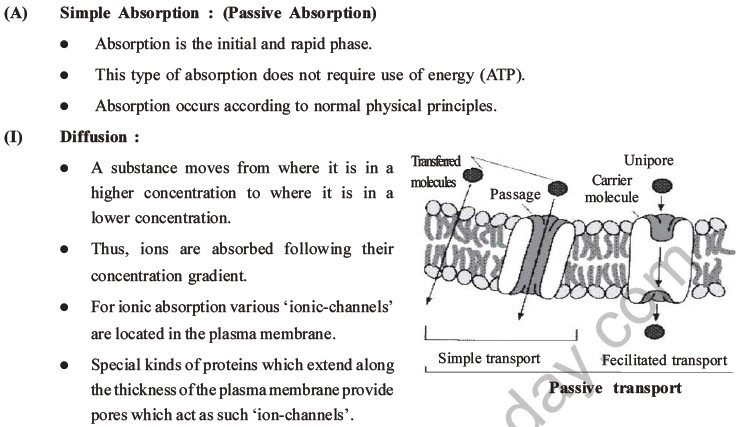 NEET Biology Mineral Nutrition MCQs Set A-15