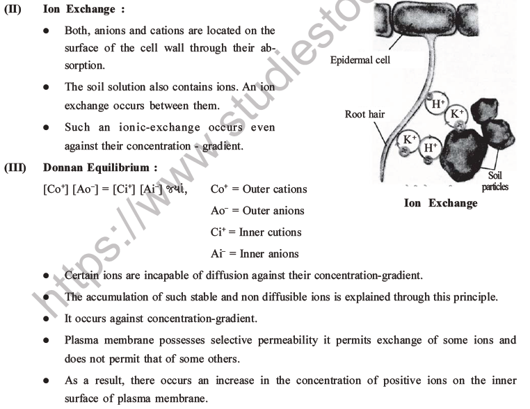 NEET Biology Mineral Nutrition MCQs Set A-16