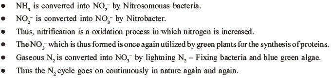 NEET Biology Mineral Nutrition MCQs Set A-23