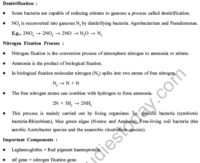 NEET Biology Mineral Nutrition MCQs Set A-24