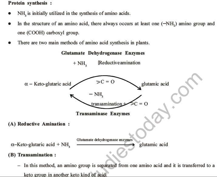 NEET Biology Mineral Nutrition MCQs Set A-26