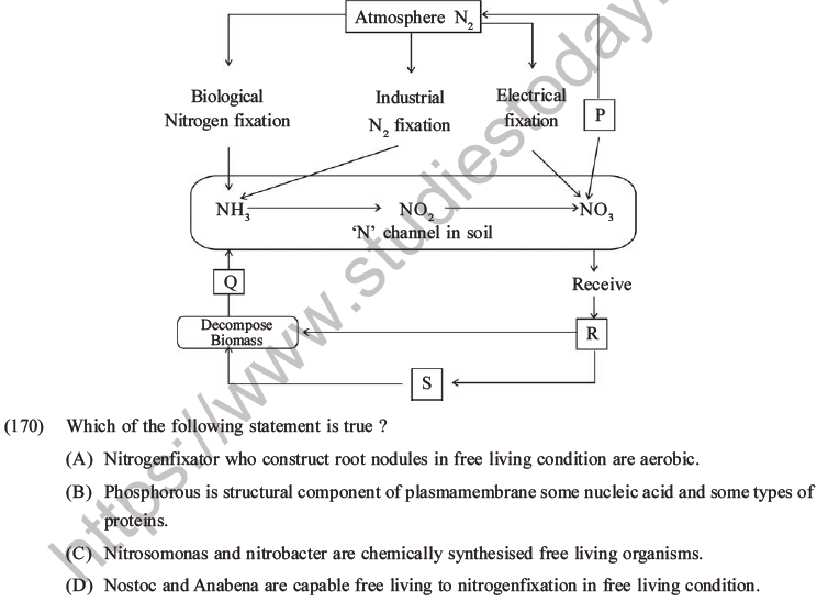 NEET Biology Mineral Nutrition MCQs Set A-48