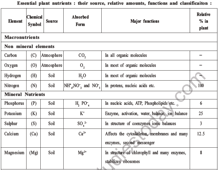 NEET Biology Mineral Nutrition MCQs Set A-5