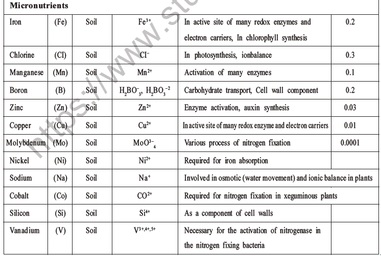 NEET Biology Mineral Nutrition MCQs Set A-6