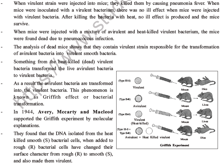 NEET Biology Molecular Basis of Inheritance MCQs Set A-