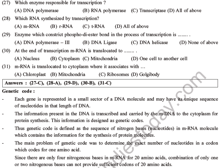 NEET Biology Molecular Basis of Inheritance MCQs Set A-12