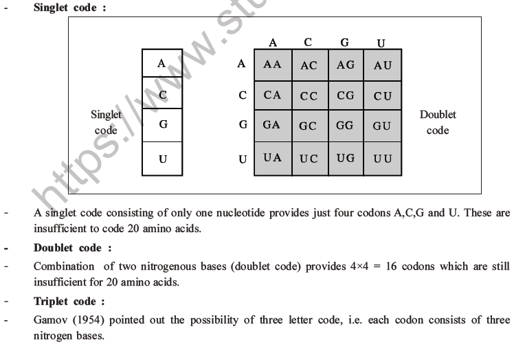 NEET Biology Molecular Basis of Inheritance MCQs Set A-13