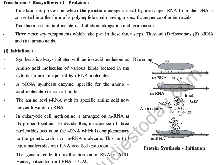NEET Biology Molecular Basis of Inheritance MCQs Set A-22