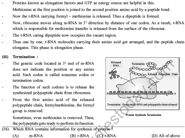 NEET Biology Molecular Basis of Inheritance MCQs Set A-24