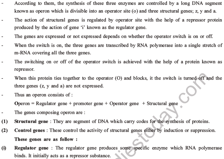 NEET Biology Molecular Basis of Inheritance MCQs Set A-30