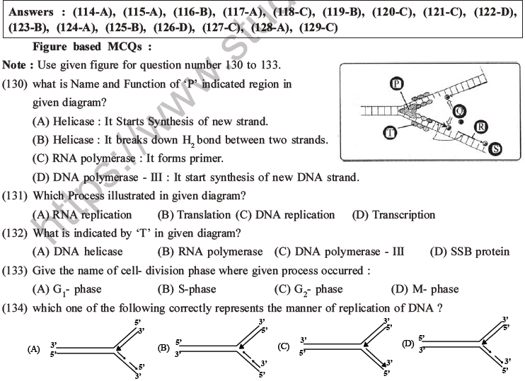 NEET Biology Molecular Basis of Inheritance MCQs Set A-54