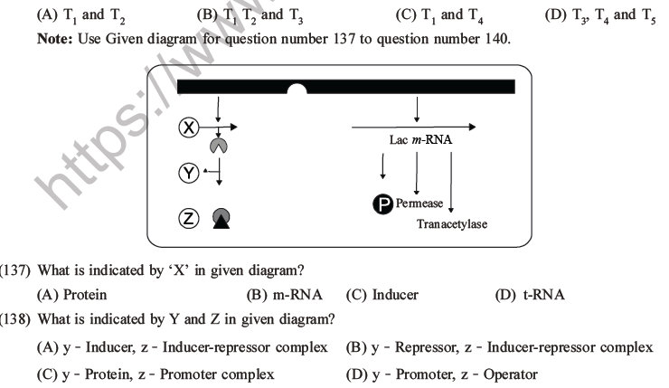 NEET Biology Molecular Basis of Inheritance MCQs Set A-57