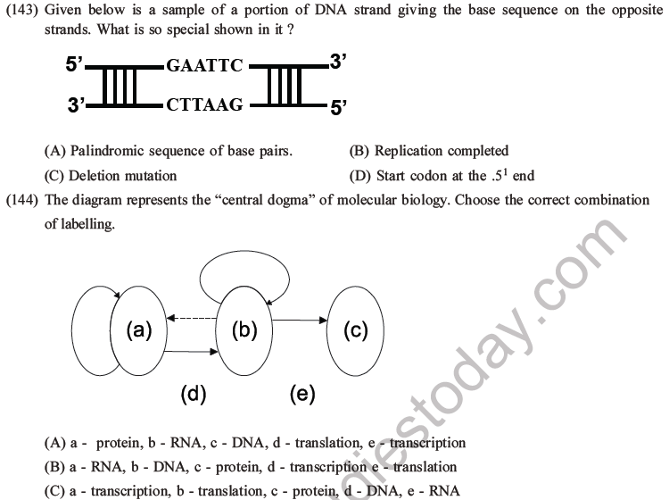 NEET Biology Molecular Basis of Inheritance MCQs Set A-60