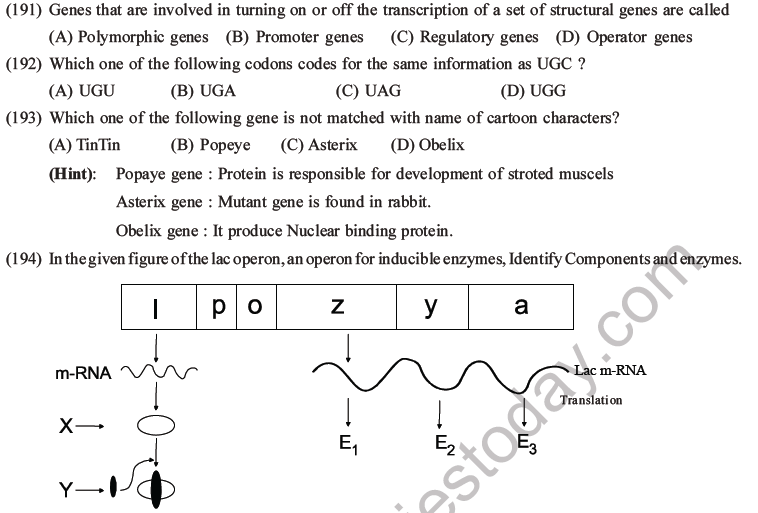 NEET Biology Molecular Basis of Inheritance MCQs Set A-75