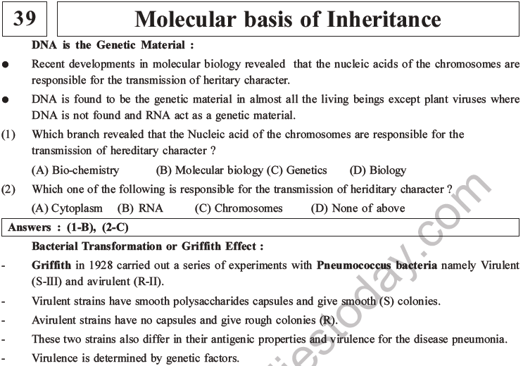 NEET Biology Molecular Basis of Inheritance MCQs Set A