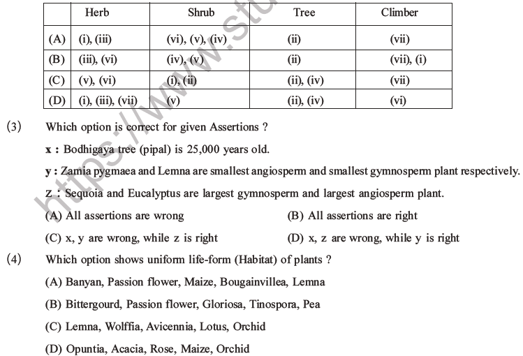 NEET Biology Morphology of Plants MCQs Set A-