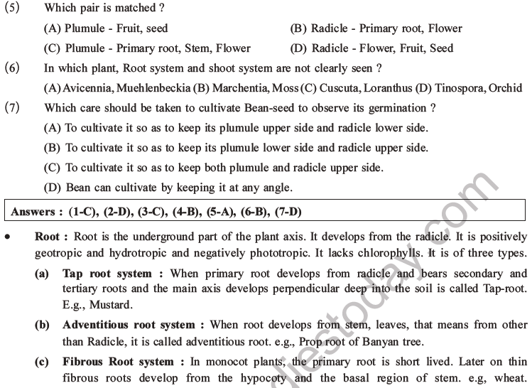 NEET Biology Morphology of Plants MCQs Set A-1