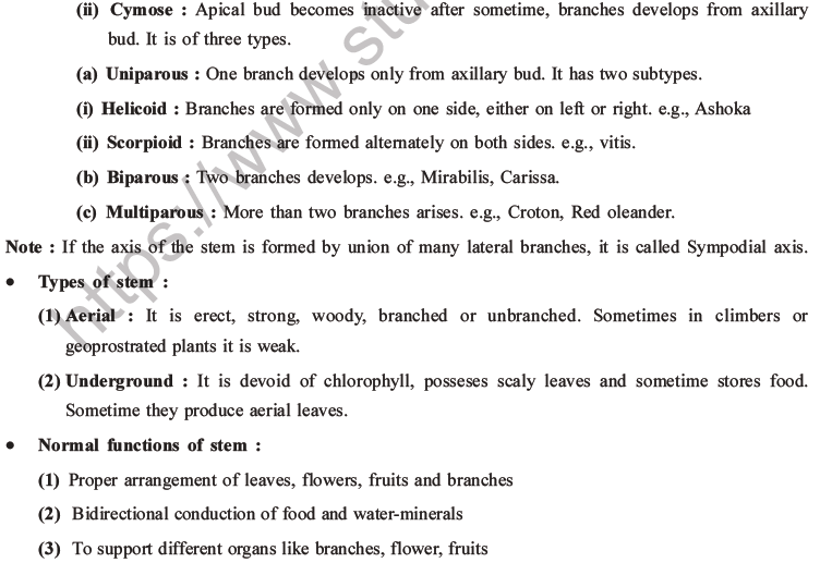 NEET Biology Morphology of Plants MCQs Set A-10