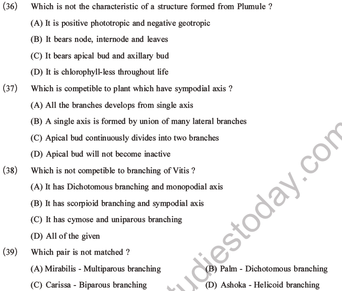 NEET Biology Morphology of Plants MCQs Set A-11