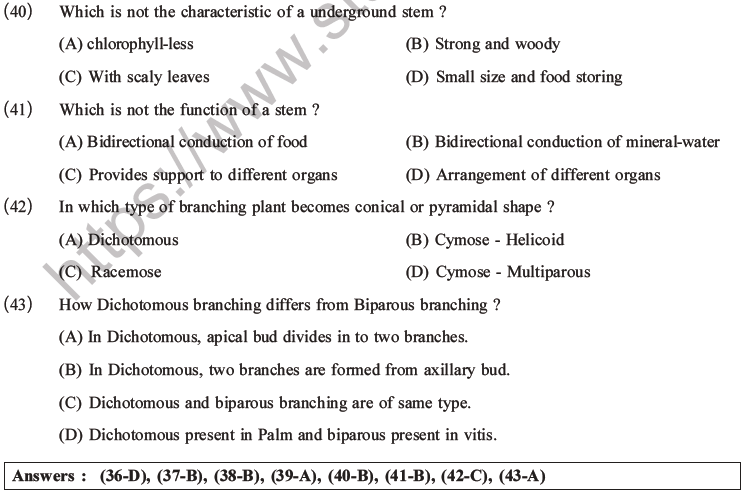 NEET Biology Morphology of Plants MCQs Set A-12