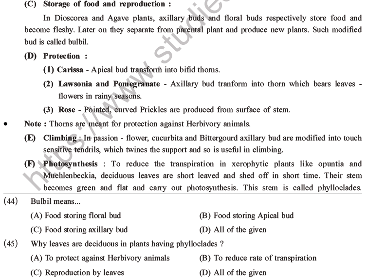 NEET Biology Morphology of Plants MCQs Set A-14