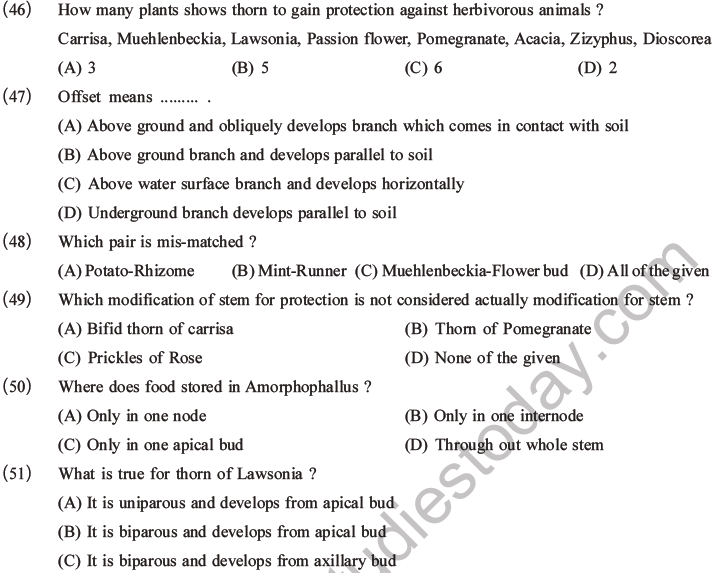 NEET Biology Morphology of Plants MCQs Set A-15