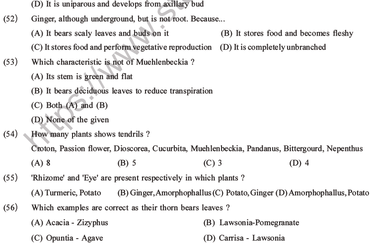 NEET Biology Morphology of Plants MCQs Set A-16