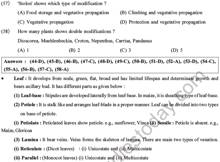 NEET Biology Morphology of Plants MCQs Set A-17