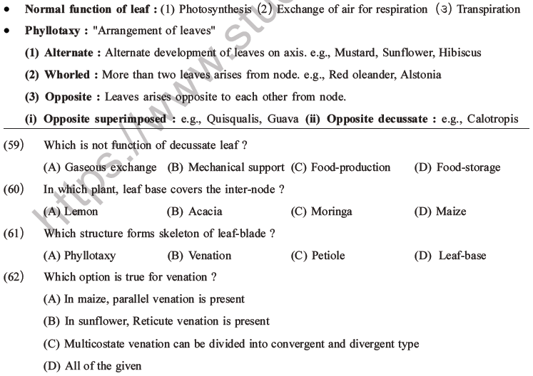 NEET Biology Morphology of Plants MCQs Set A-18