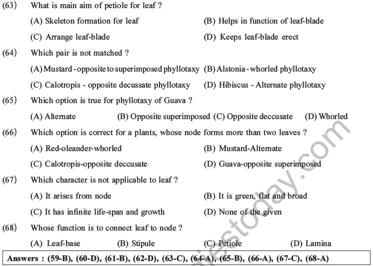 NEET Biology Morphology of Plants MCQs Set A-19