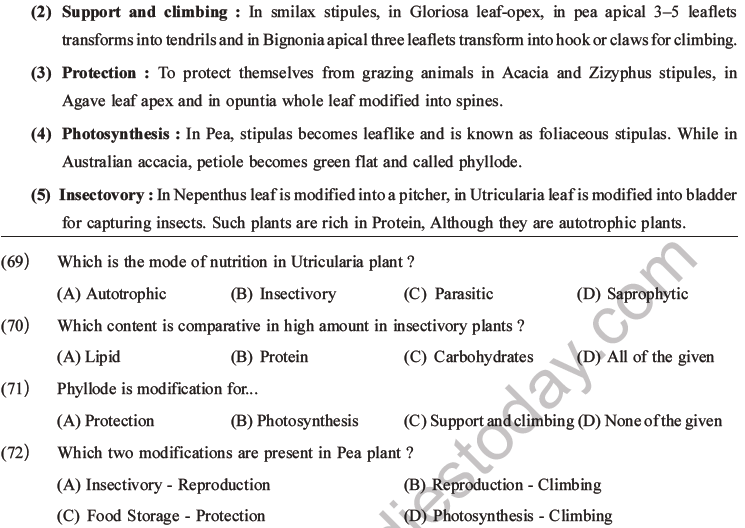 NEET Biology Morphology of Plants MCQs Set A-21