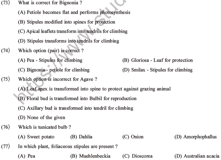 NEET Biology Morphology of Plants MCQs Set A-22